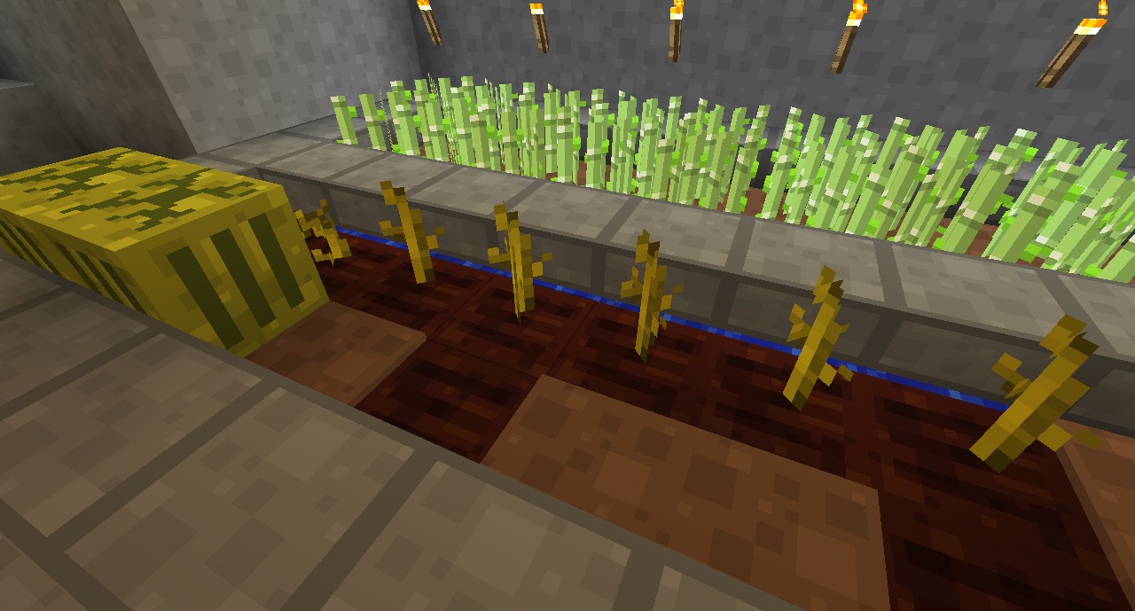 Mini Farm